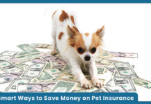 7 Smart Ways to Save Money on Pet Insurance 7 Smart Ways to Save Money on Pet Insurance