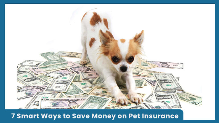 7 Smart Ways to Save Money on Pet Insurance