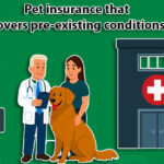 Pet insurance that covers pre-existing conditions